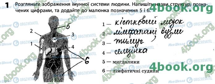 ГДЗ Біологія 11 клас сторінка Стр.34 (1)